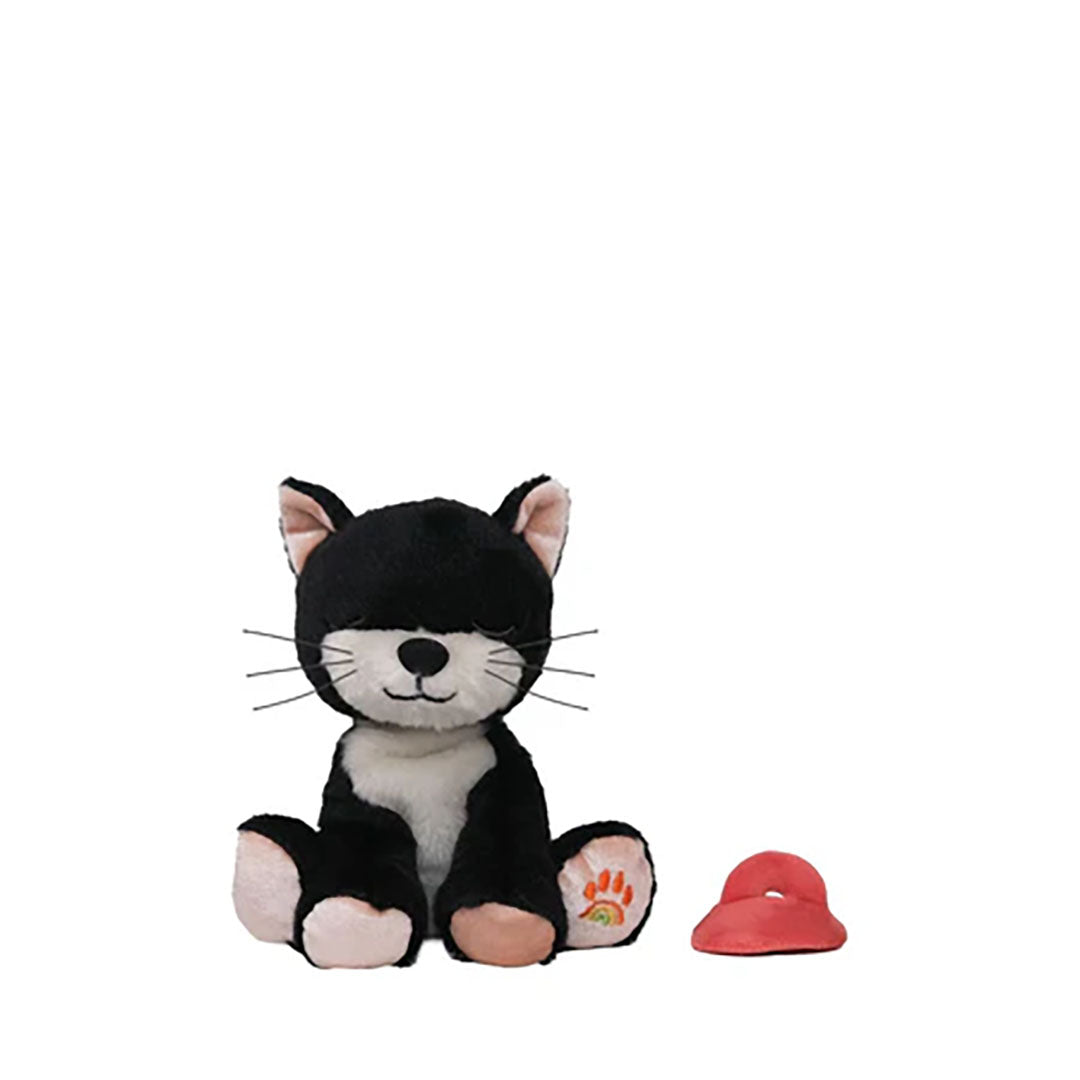 Binky Kitten Kit - Black & White