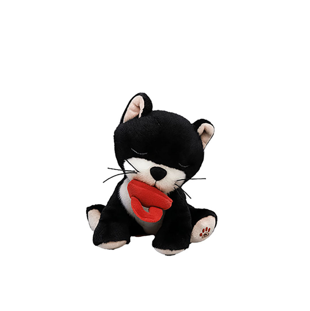 Binky Kitten Kit - Black & White