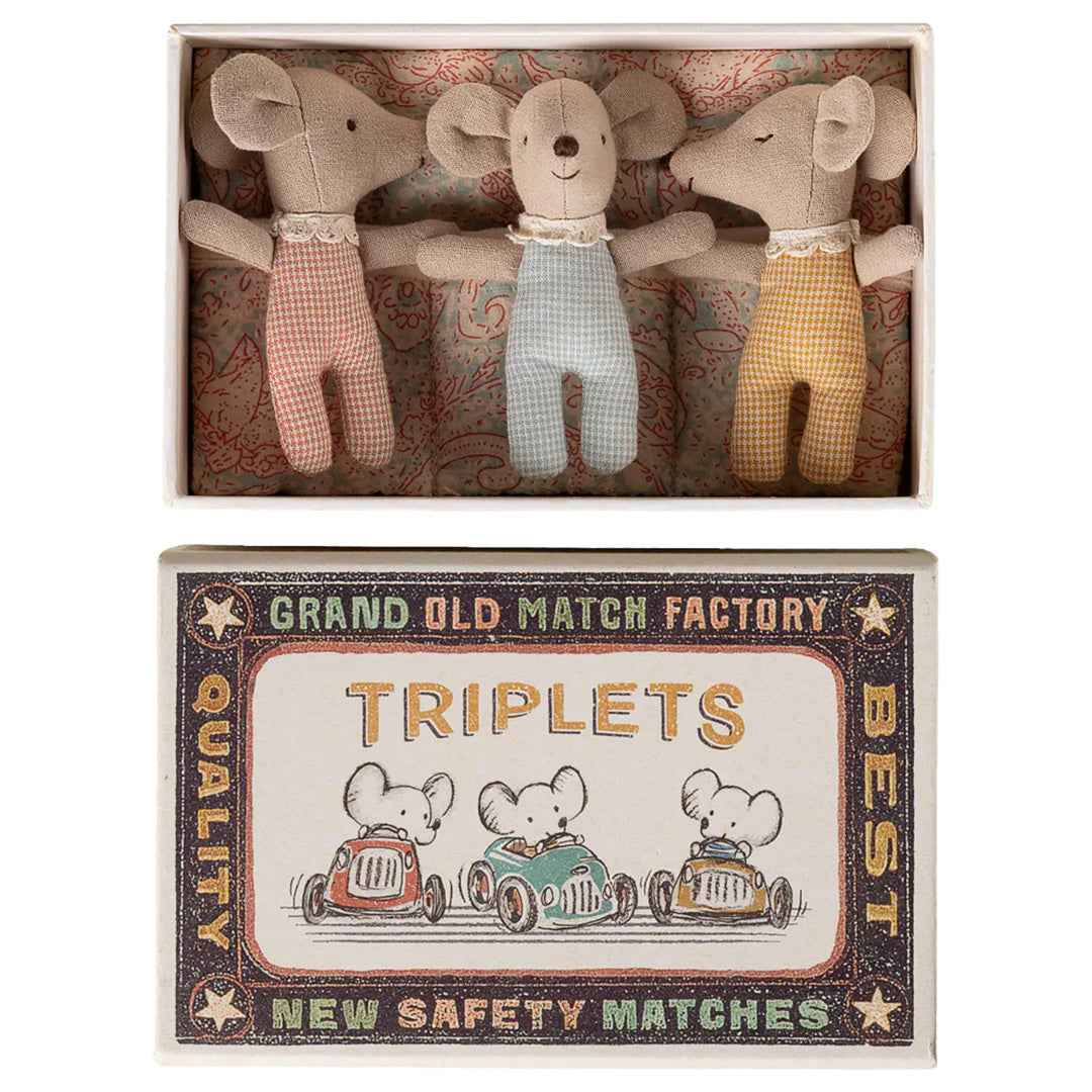 Triplets, Baby mice in matchbox - Checker