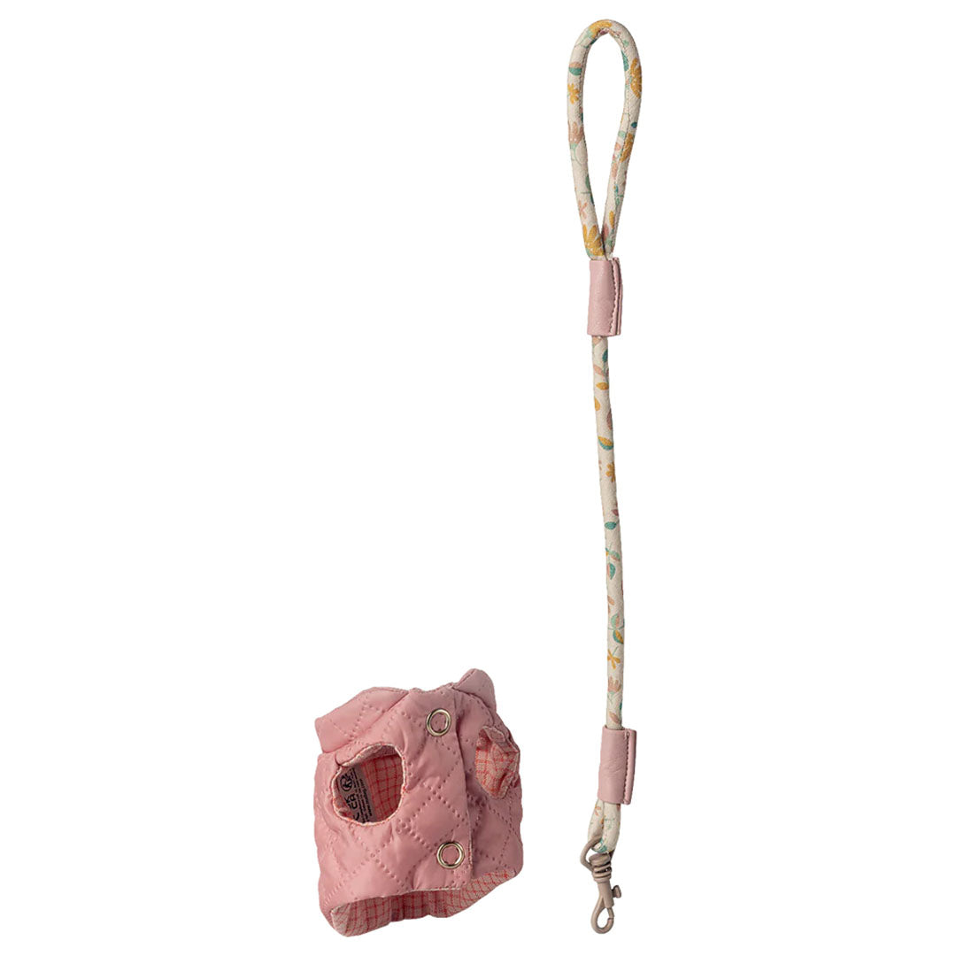 Pet supply, Harness and leash - Rose