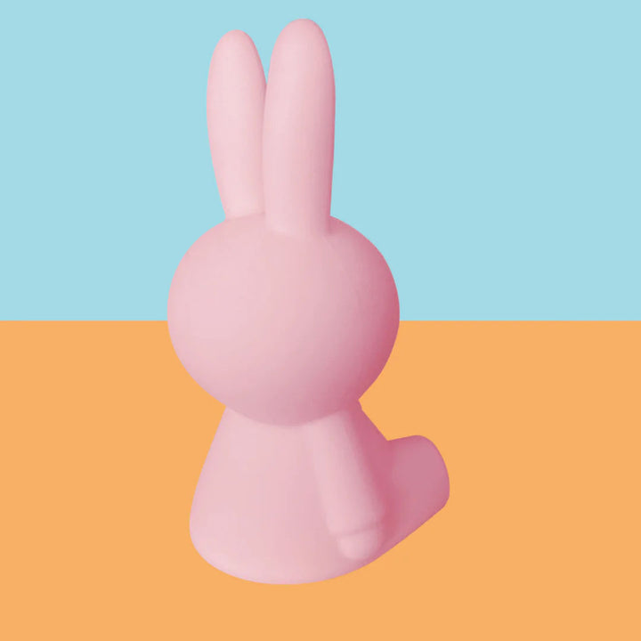 Miffy Official Blind Box: Colorful Surprise Bundle of Light