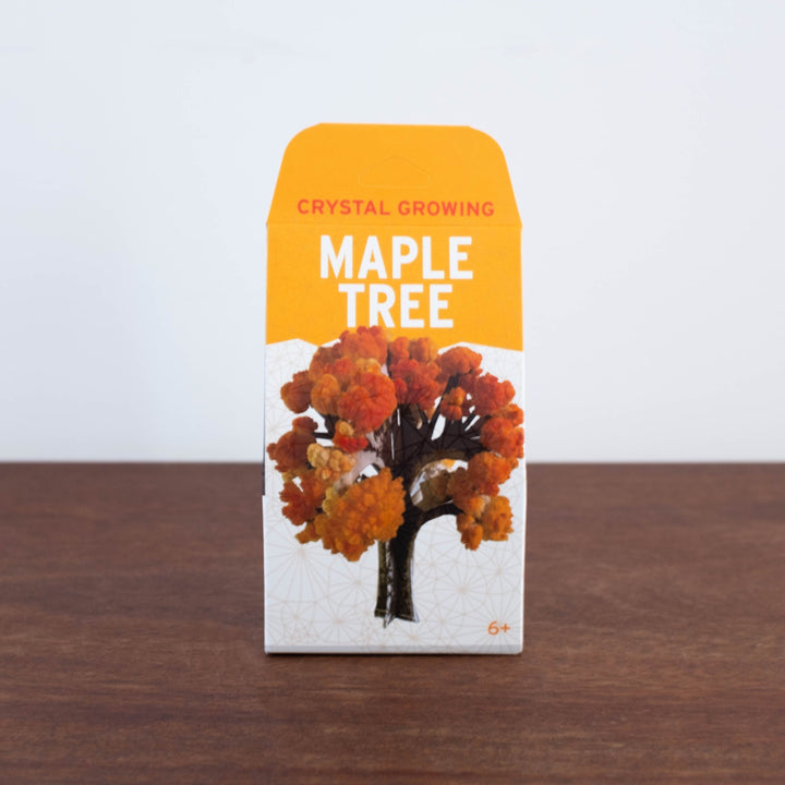 Crystal Growing Tree Kit- Maple Tree