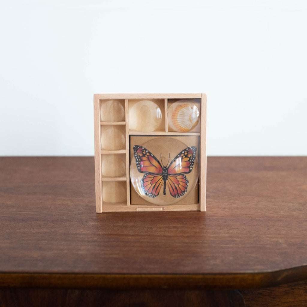 NEW Wooden Bug Magnifier Box