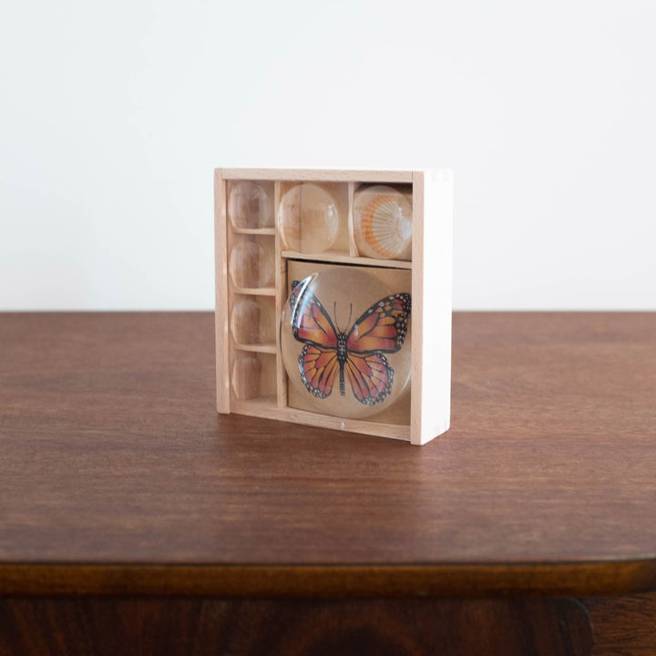 NEW Wooden Bug Magnifier Box