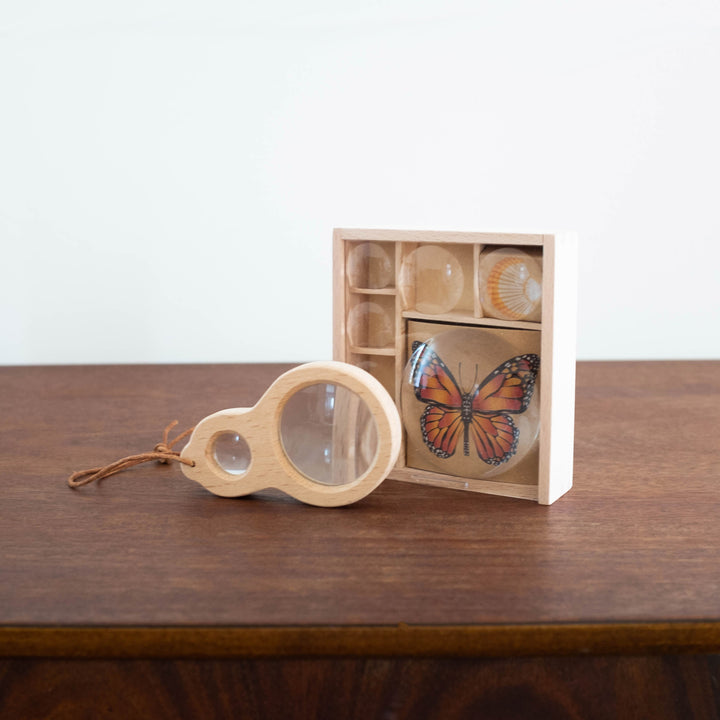 NEW Wooden Bug Magnifier Box