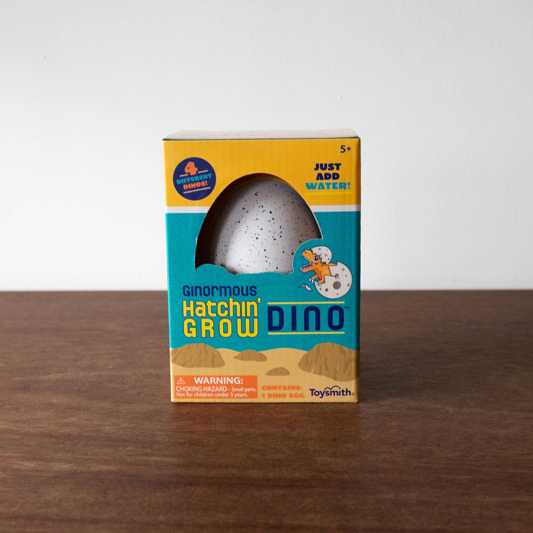 NEW Ginormous Grow Dino Egg, Just Add Water