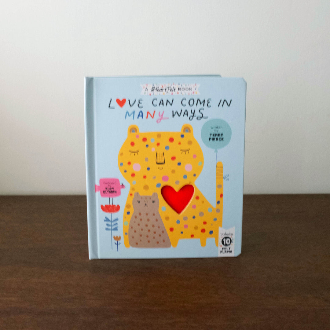 Love Can Come in Many Ways Book