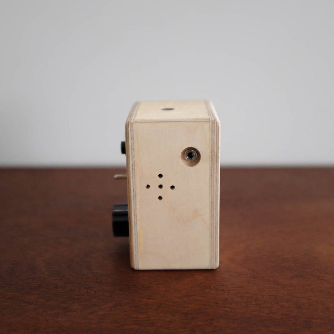 Loopy Lou Recording Device