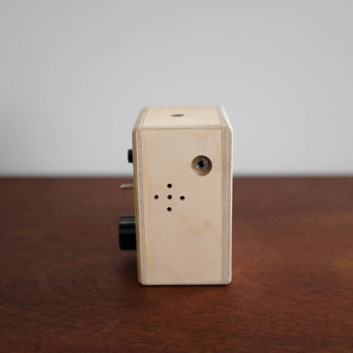 Loopy Lou Recording Device