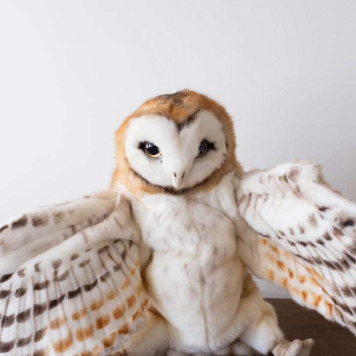 Animal Puppets- Magnificent Barn Owl