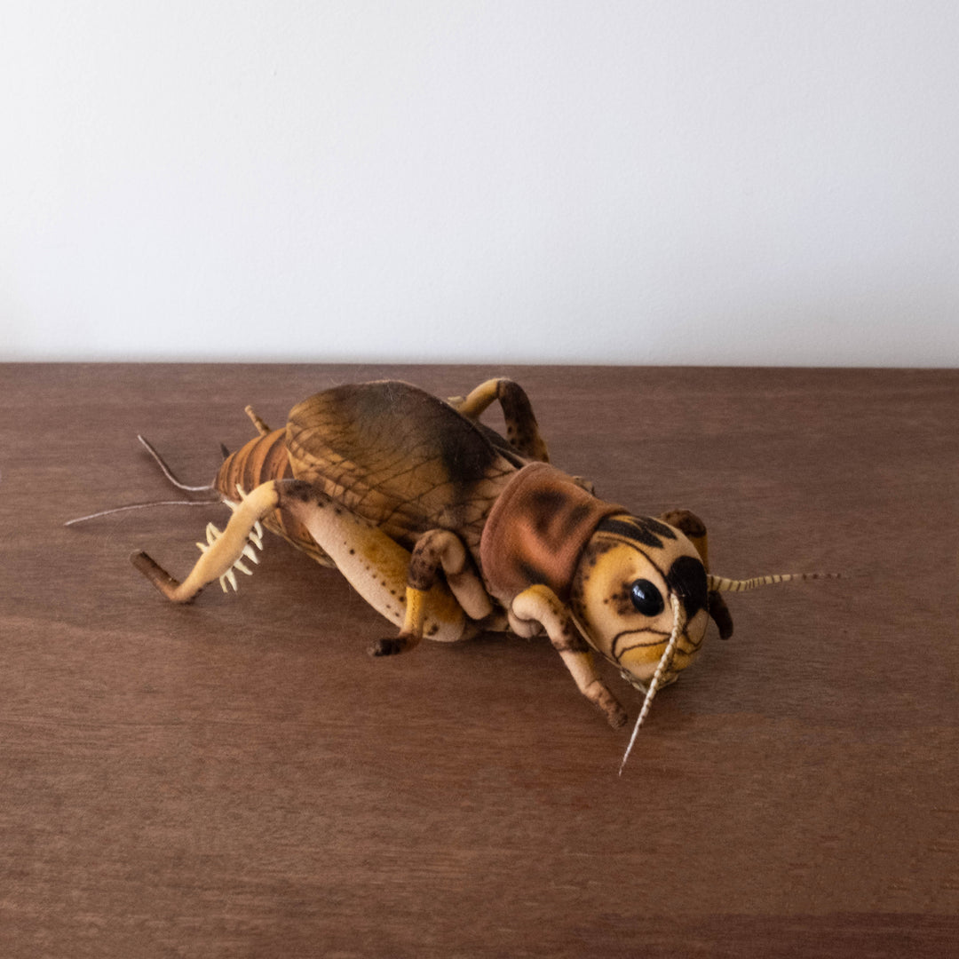 Cricket Stuffed Animal