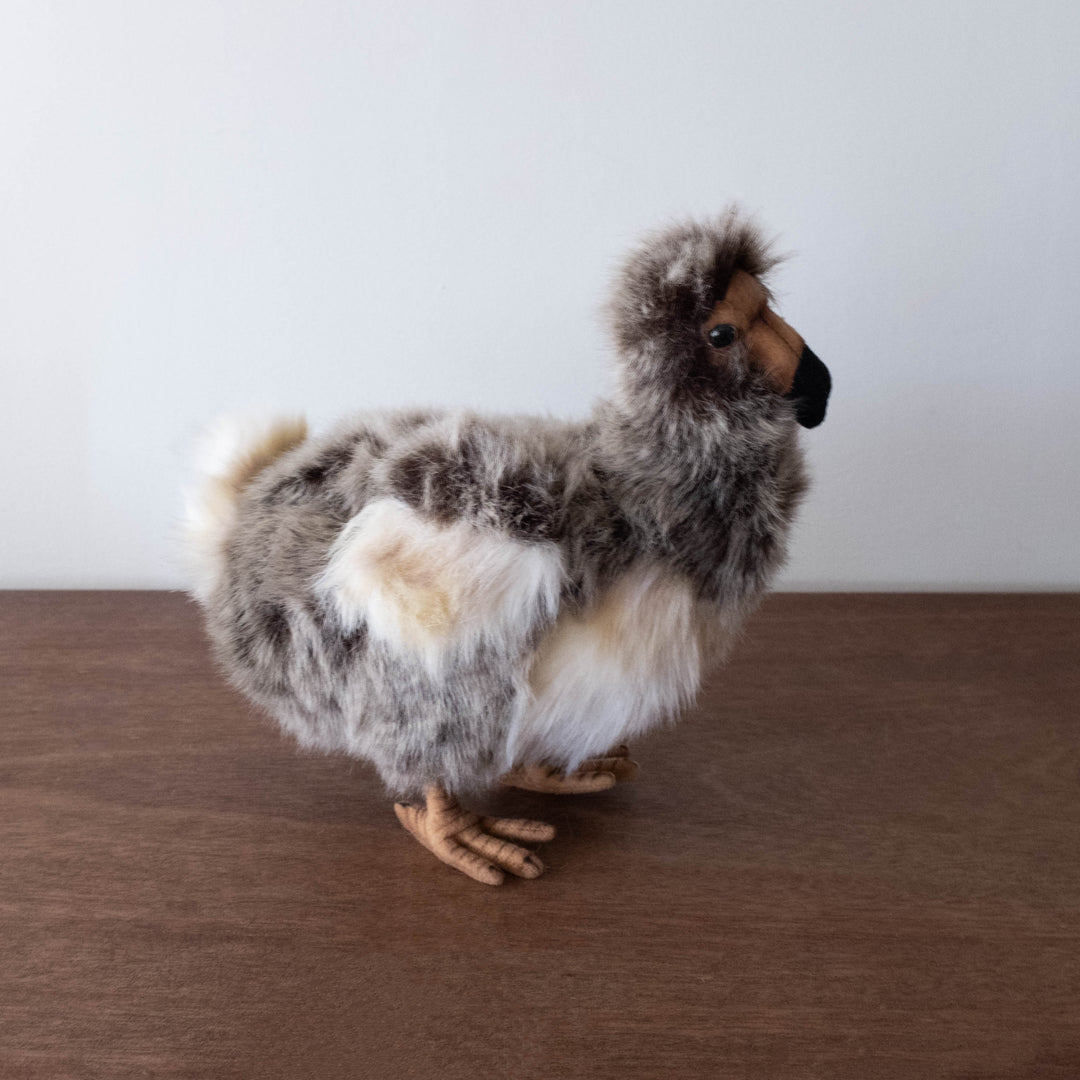 Dodo Bird Stuffed Animal