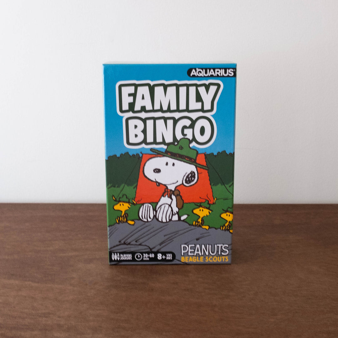 Retro Game: Family Bingo Camp Snoopy