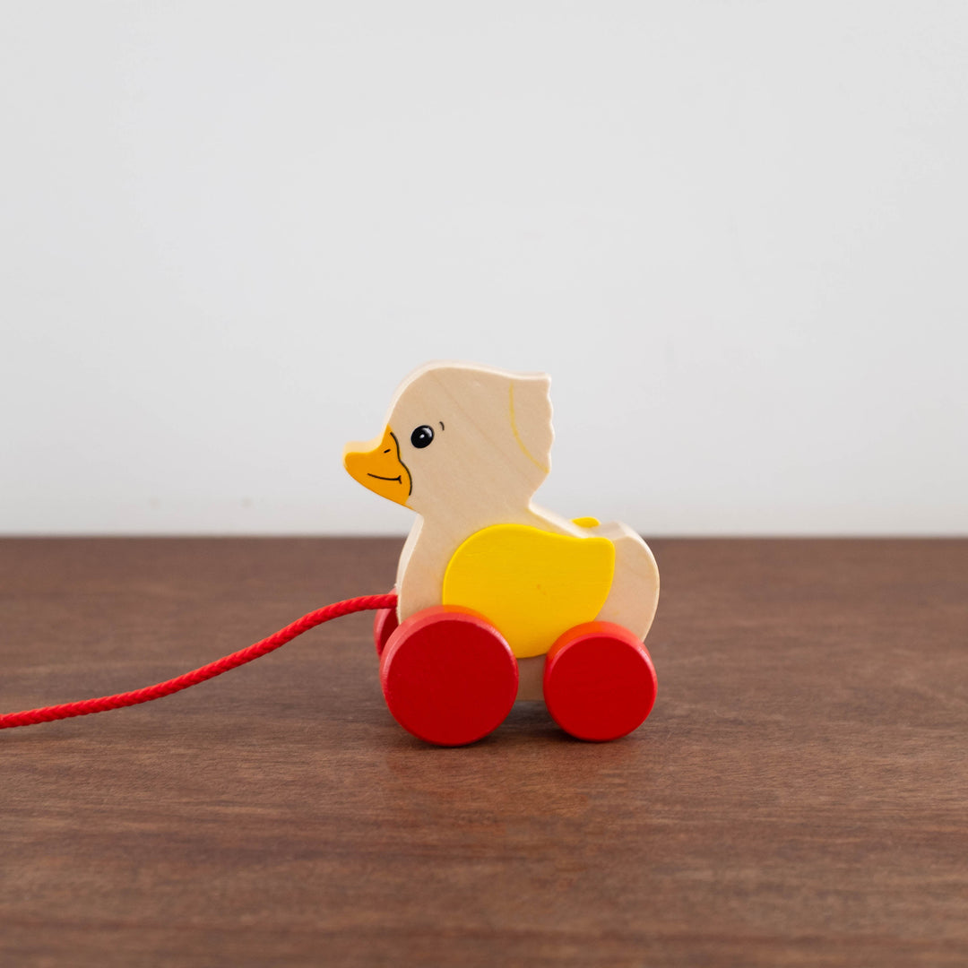 NEW Mini Duck Pull Along Toy