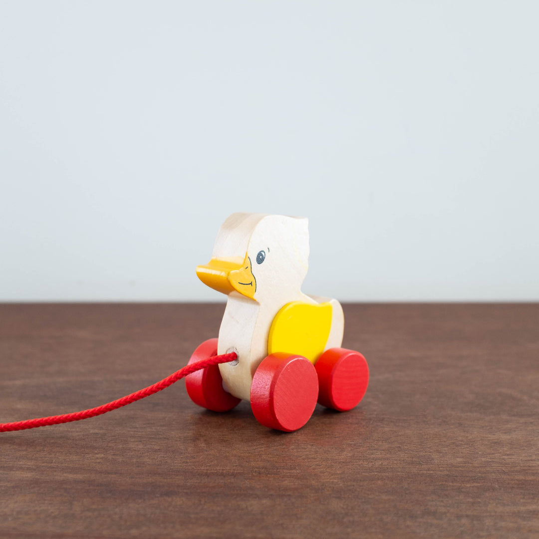 NEW Mini Duck Pull Along Toy