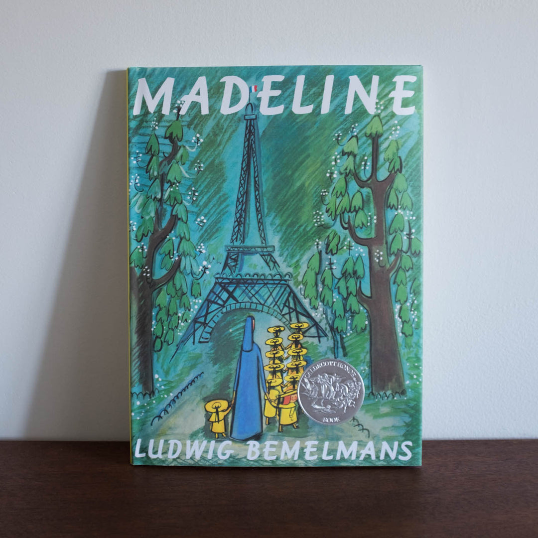 NEW Madeline Book