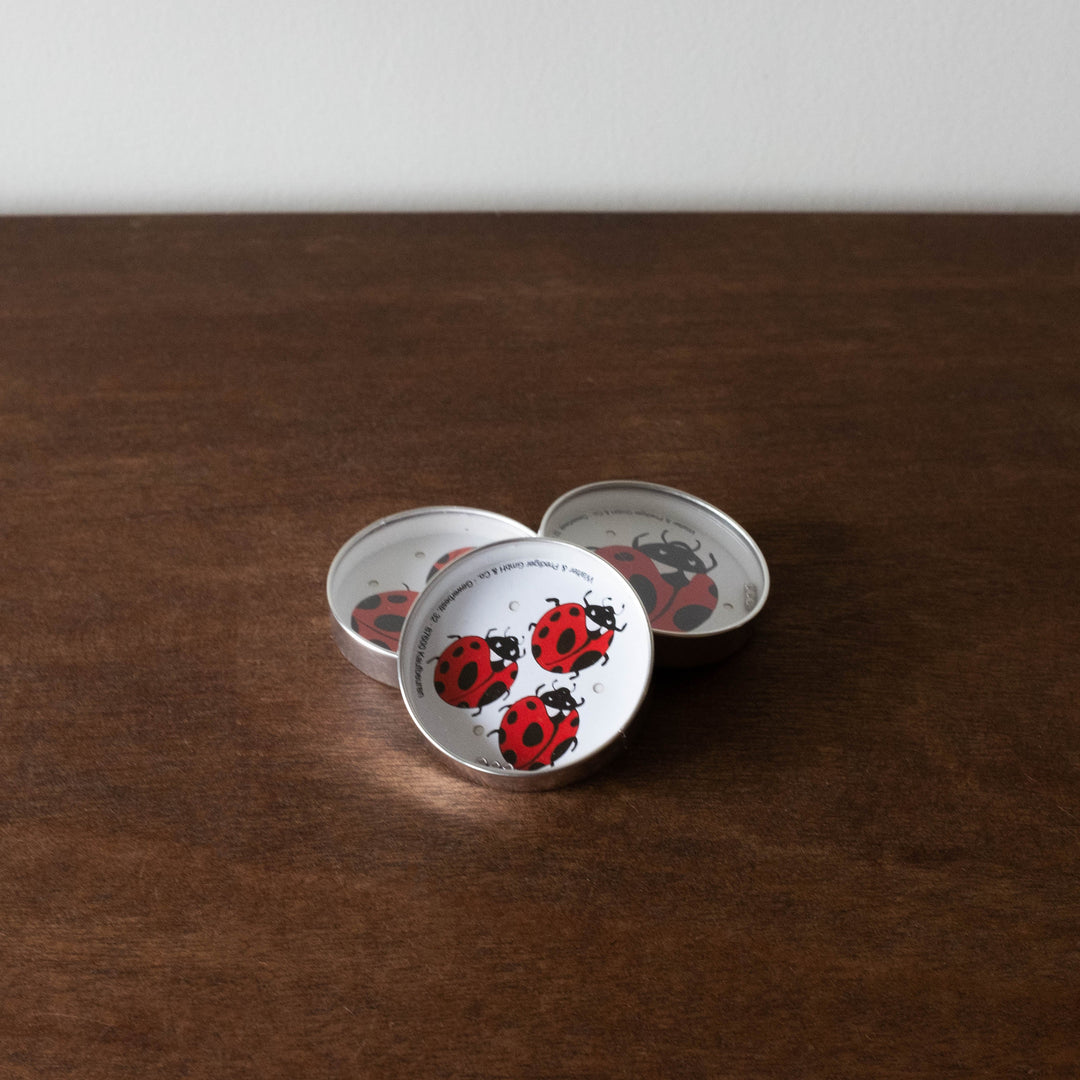 NEW Ladybug Puzzle Retro Toy