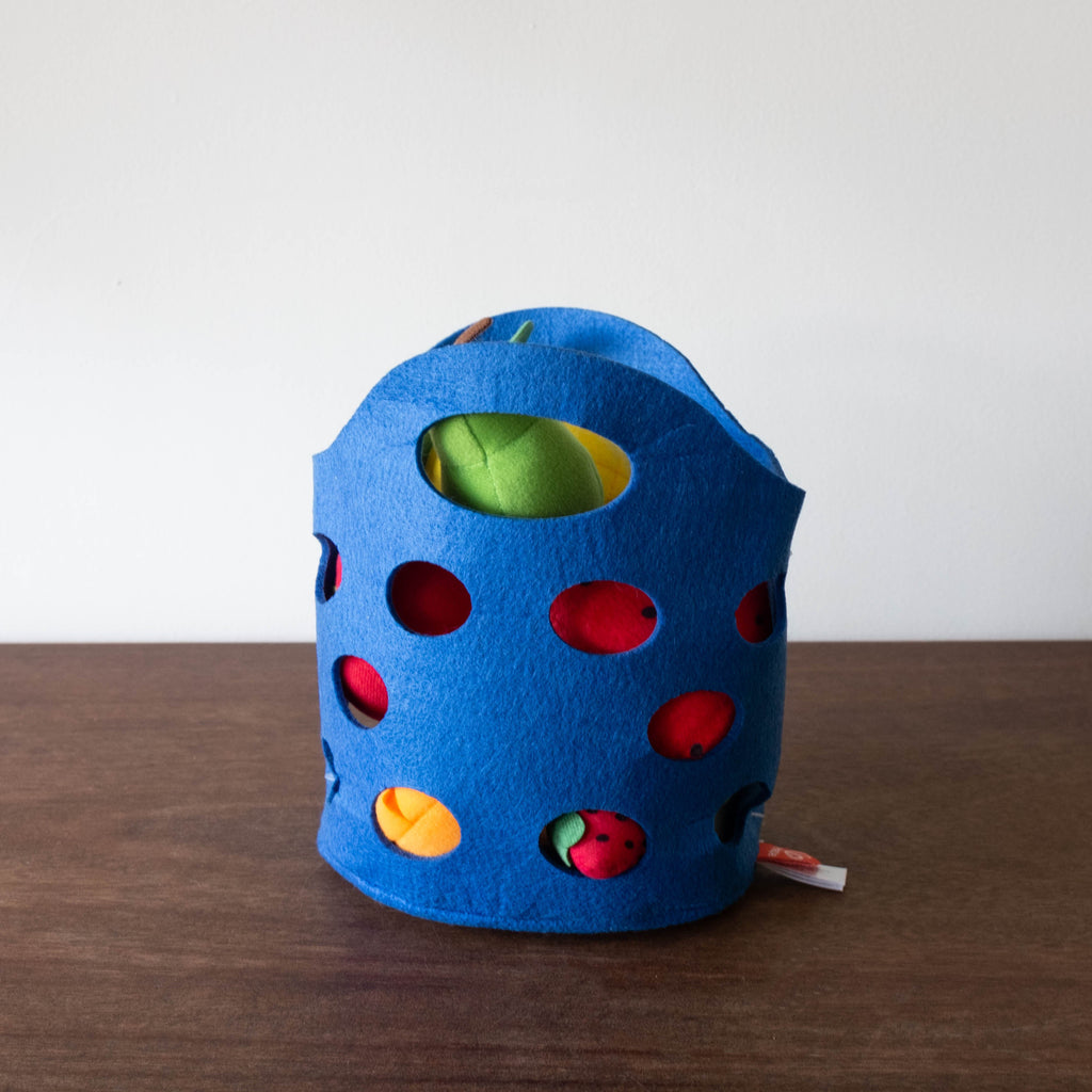 NEW Toddler Fruit Basket Set