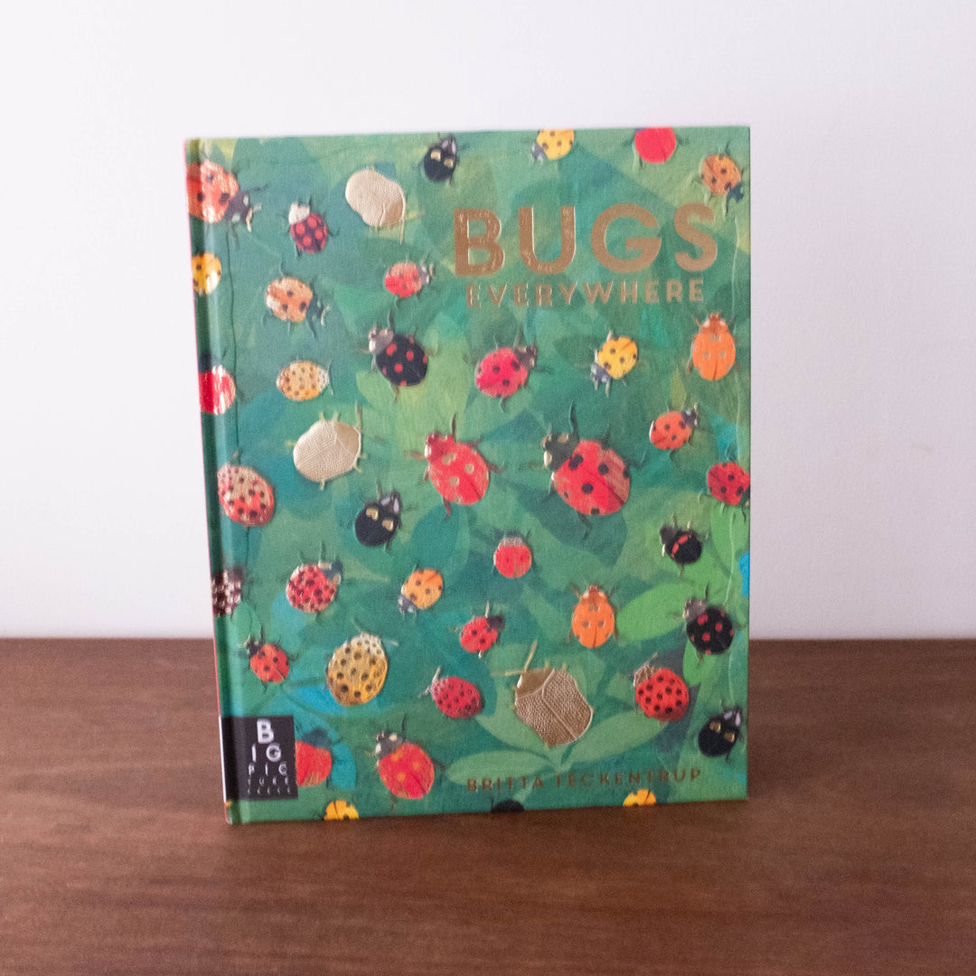 Bugs Everywhere Book