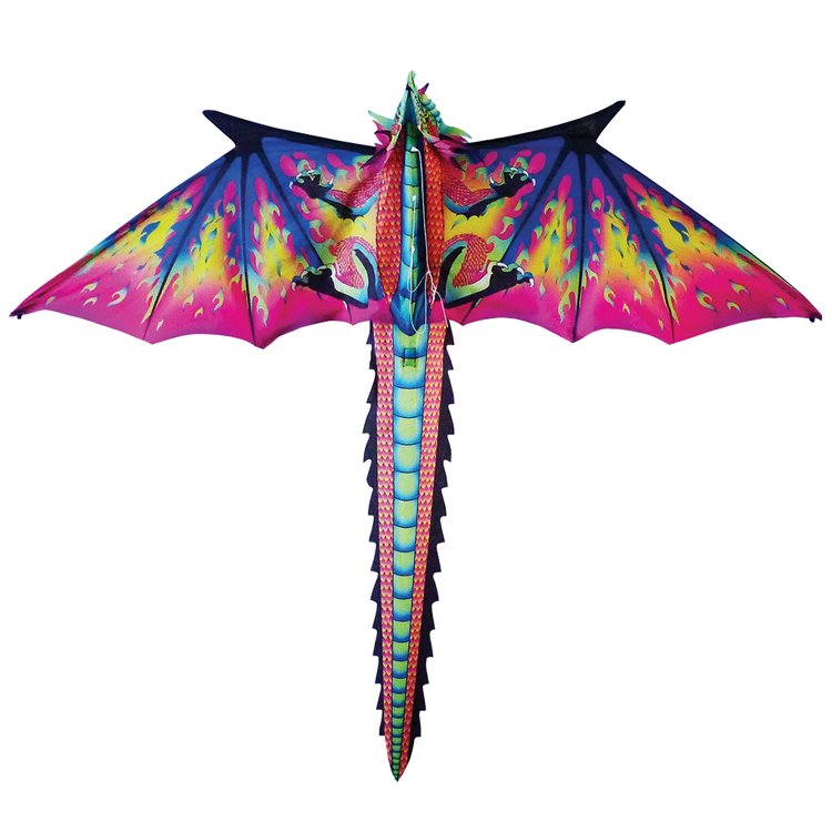 NEW Magical Dragon Kite