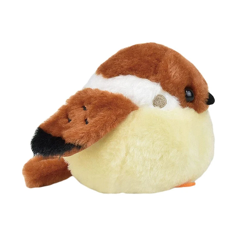 New Items