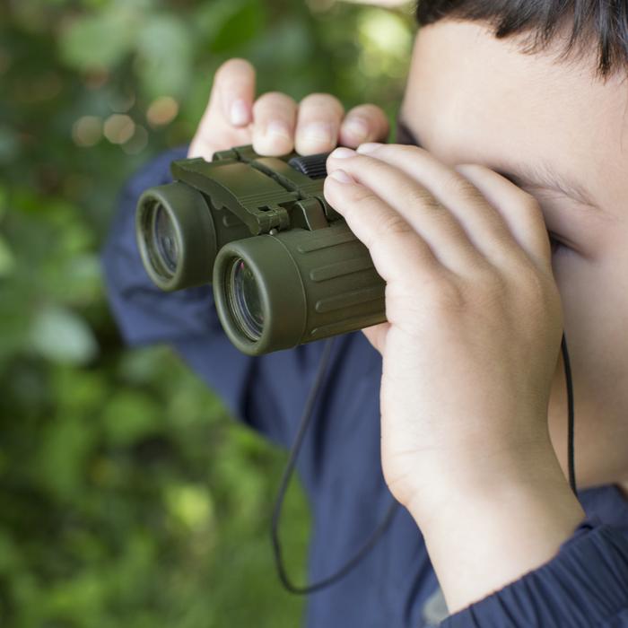 NEW Huckleberry Green Binoculars