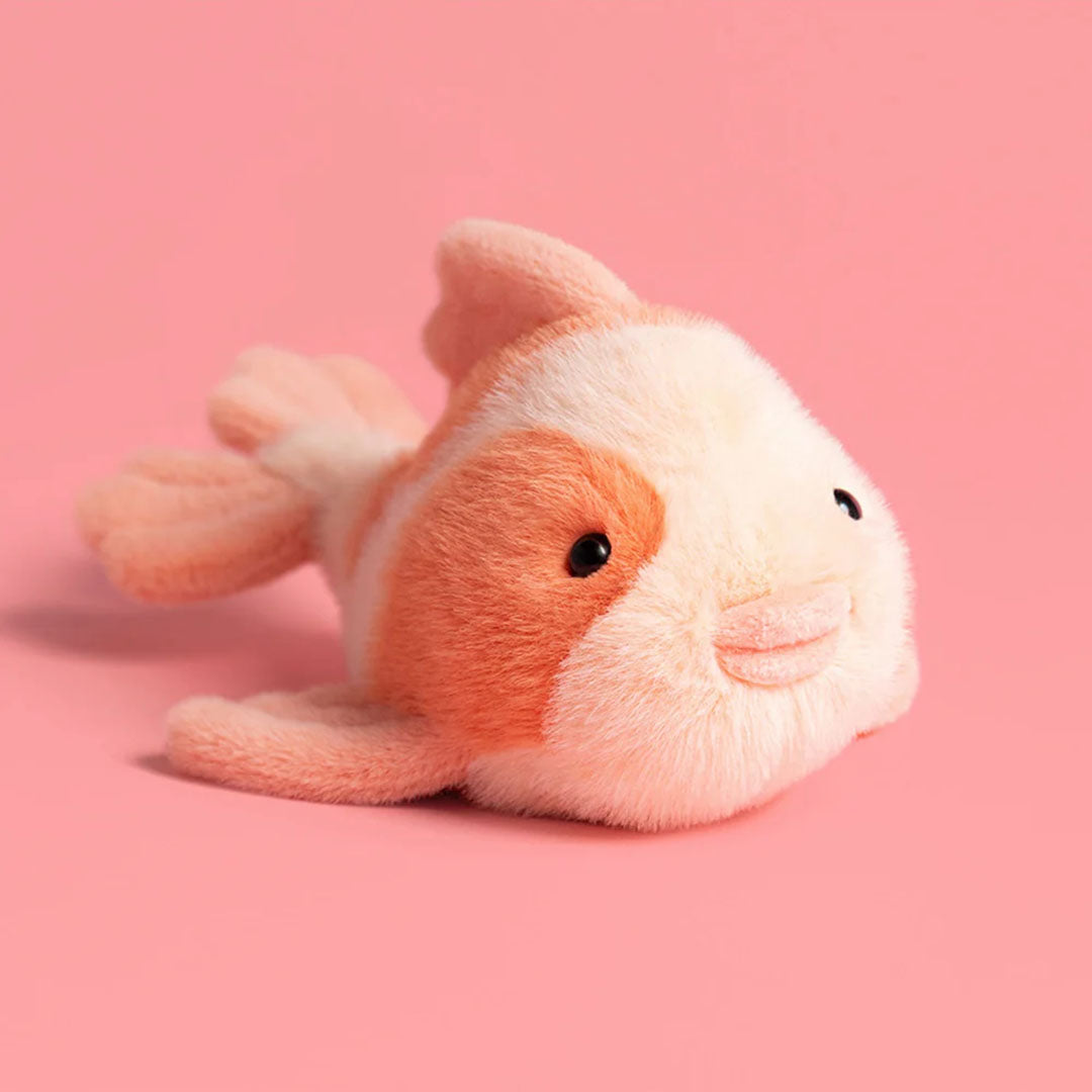 Fancy Carp