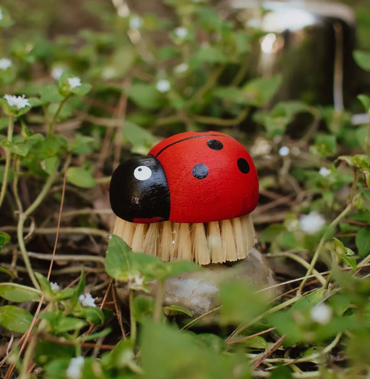 Ladybug Wooden Brush