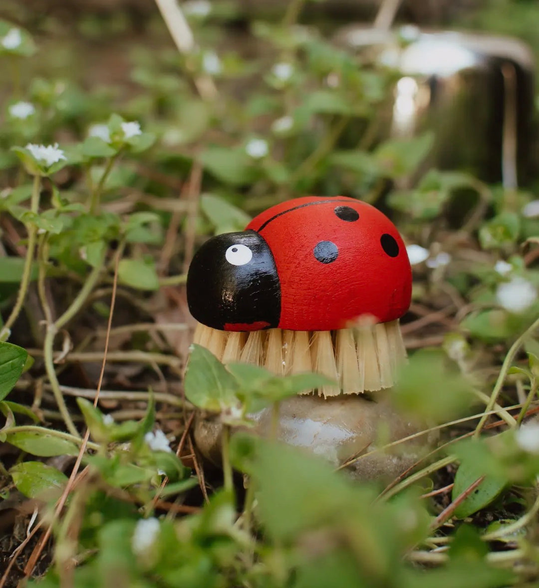 Ladybug Wooden Brush