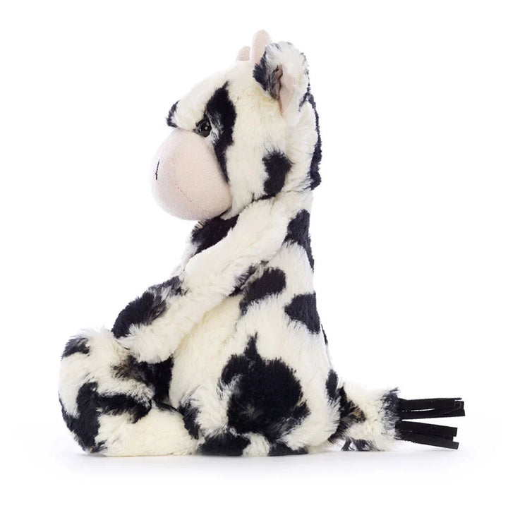 LIMIT 2 PC: Bashful Calf Original