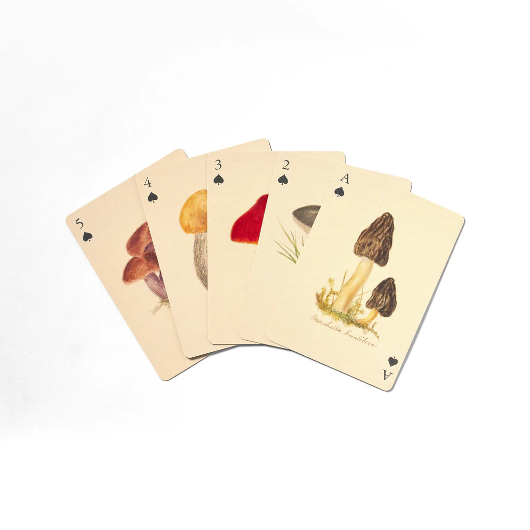 Playing Cards: Set of Two Decks - Fungi