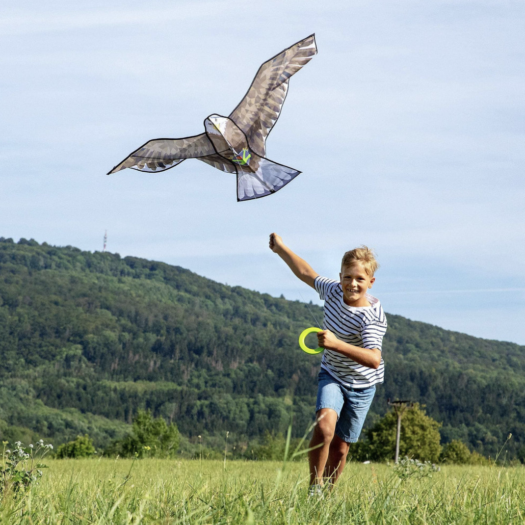 Bald Eagle Kite