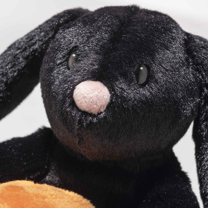 Mr. Spice Hoppie Rabbit