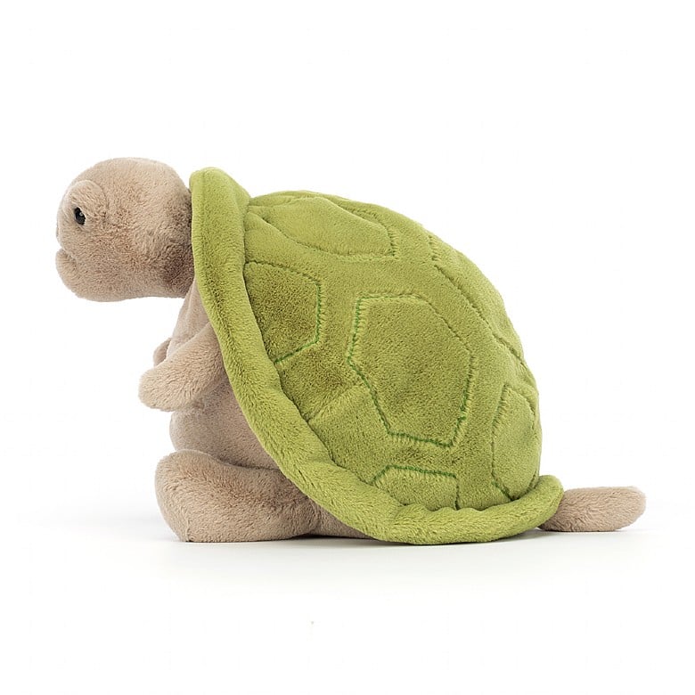 NEW Timmy Turtle