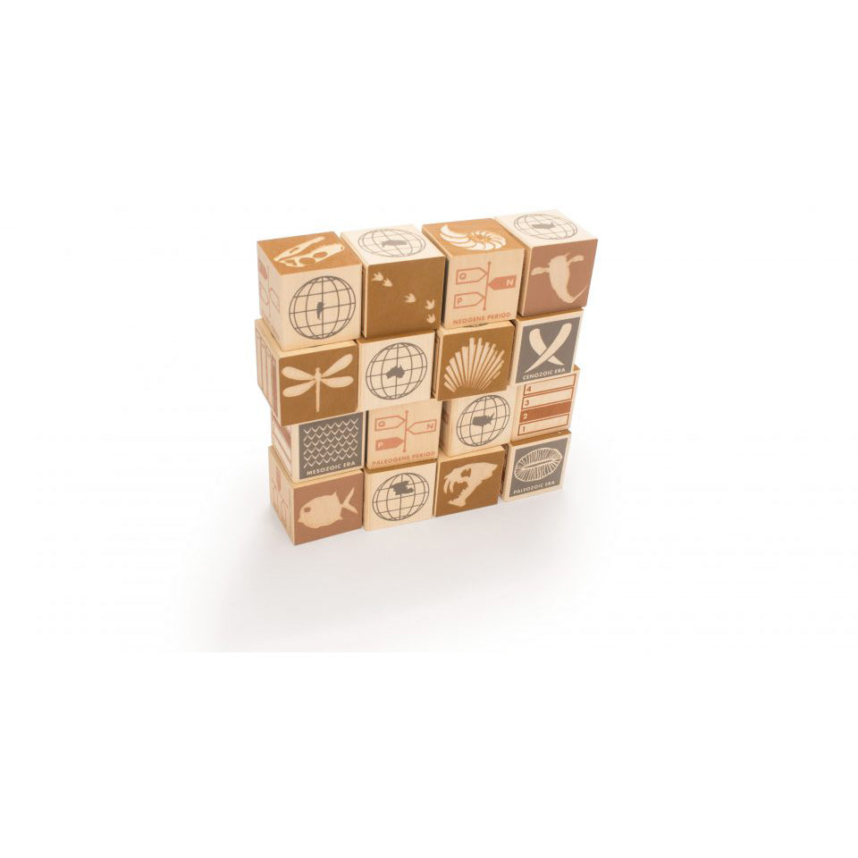 NEW Fossil Blocks