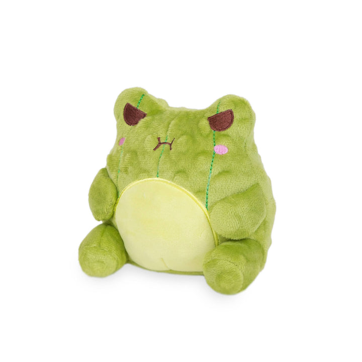 NEW Pickle Wawa (Cute Kawaii Frog Green Bag Food Snack Plush)