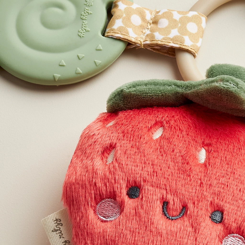 NEW Strawberry Baby Crinkle Teether and Toy