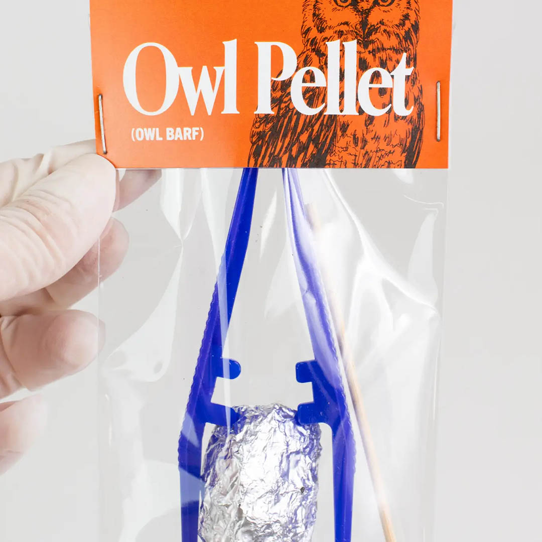 Owl Pellet Dissection Pack