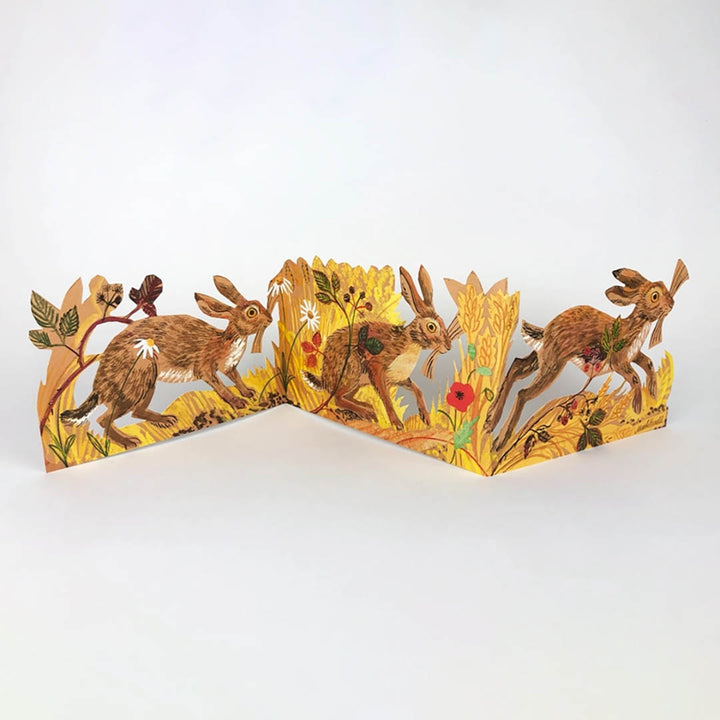 NEW Hares Collage Card