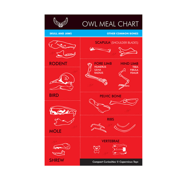 Science Kits: Owl Pellet