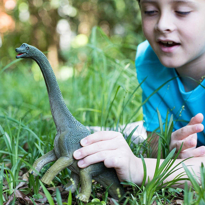 NEW Brachiosaurus Realistic Dinosaur Toy