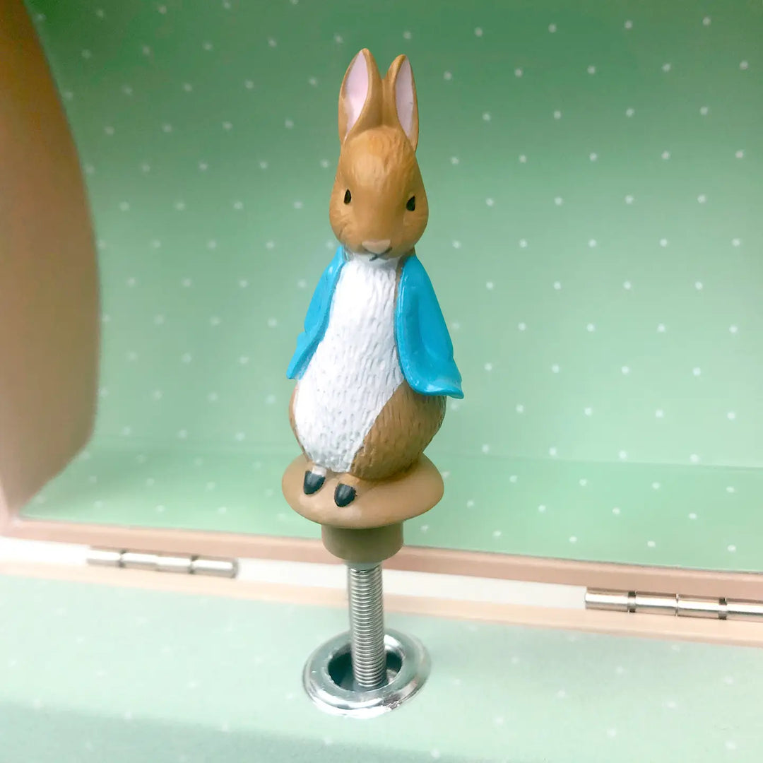 NEW Jewelry Music Coin Box-  Peter Rabbit© Hazelnuts