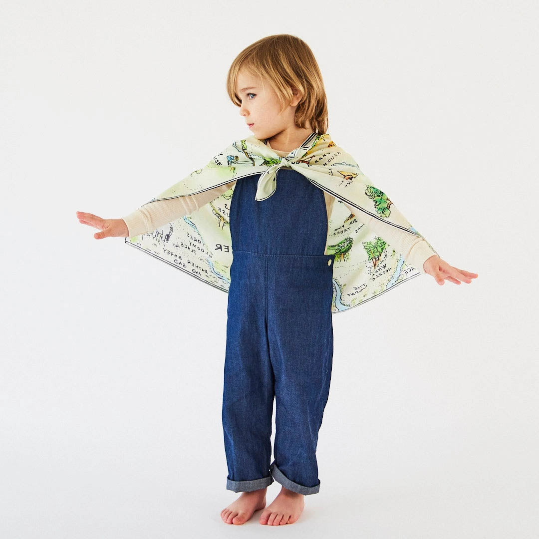 100 Aker Woods Playsilk