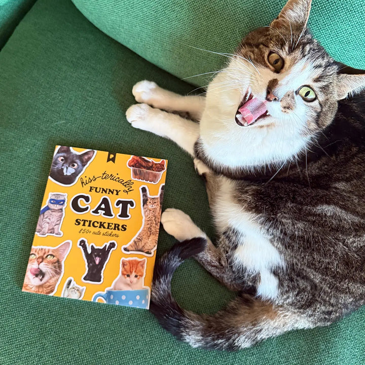 Hiss-terically Funny Cat Sticker Book
