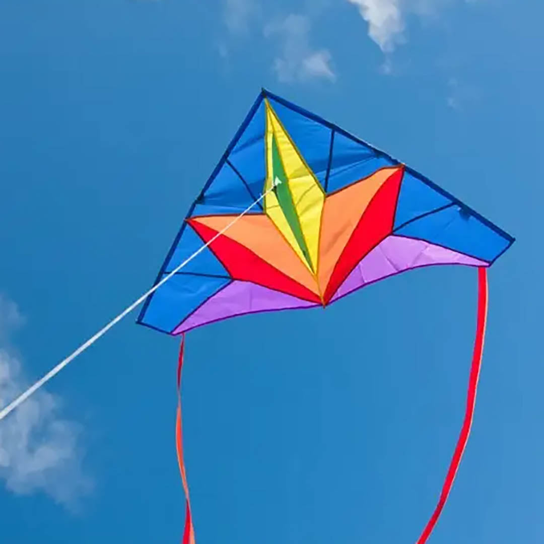Delta Stern Kite