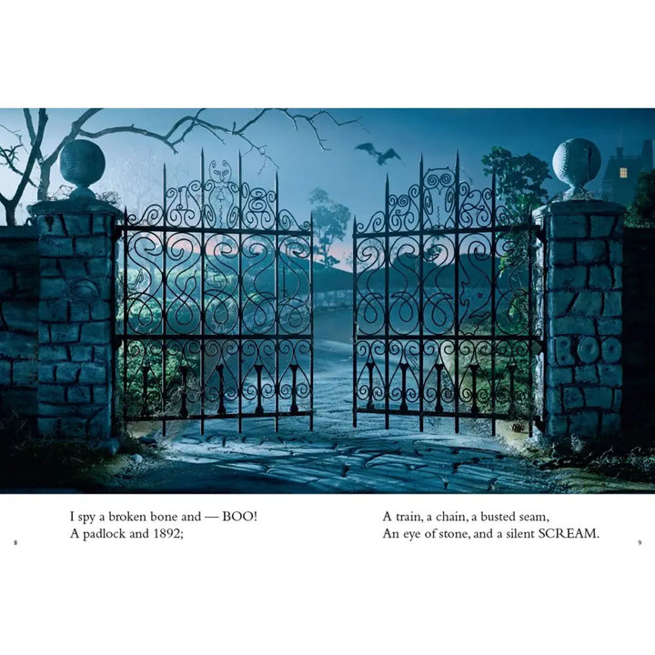 I Spy Spooky Night Book