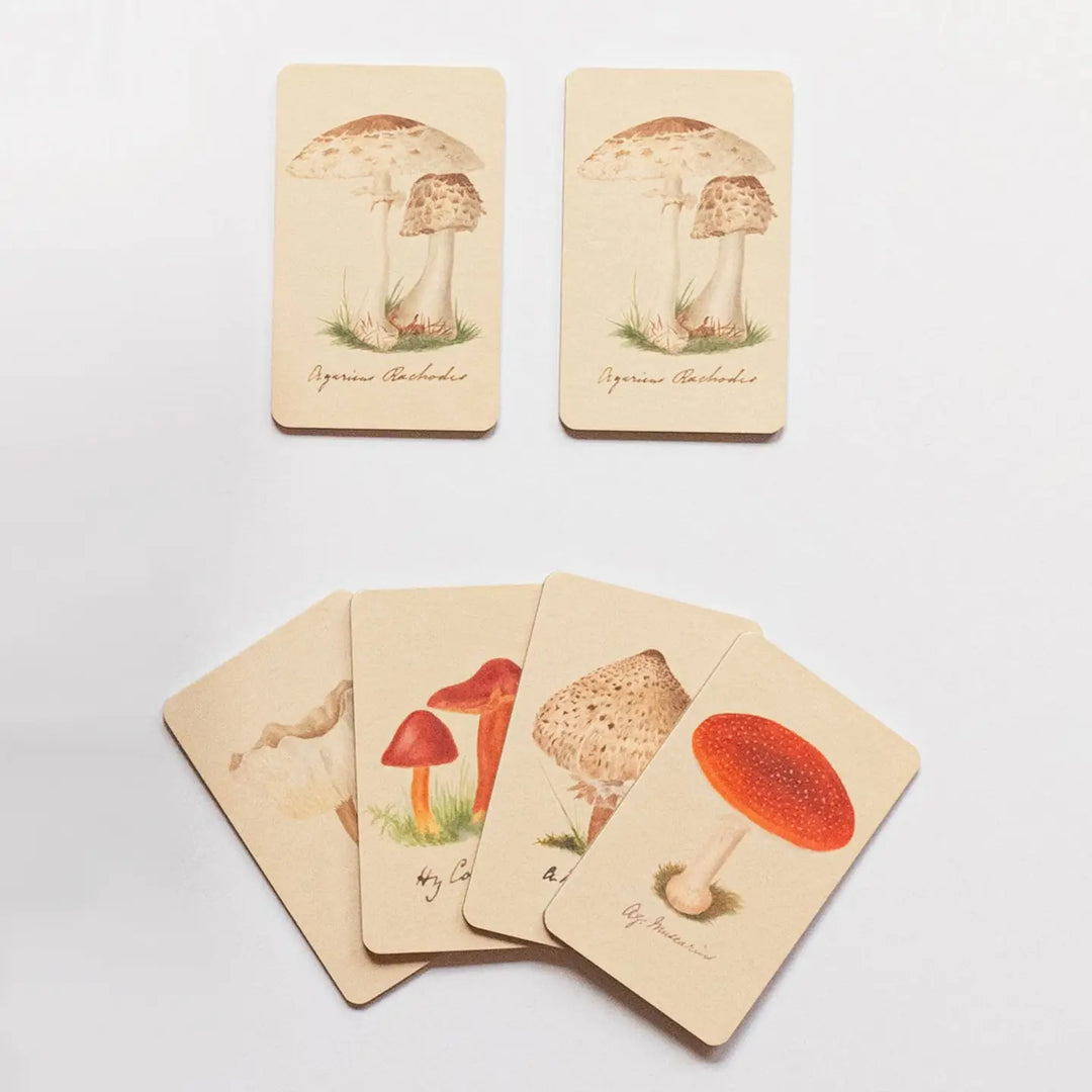 Matching Game - Fungi Mushroom