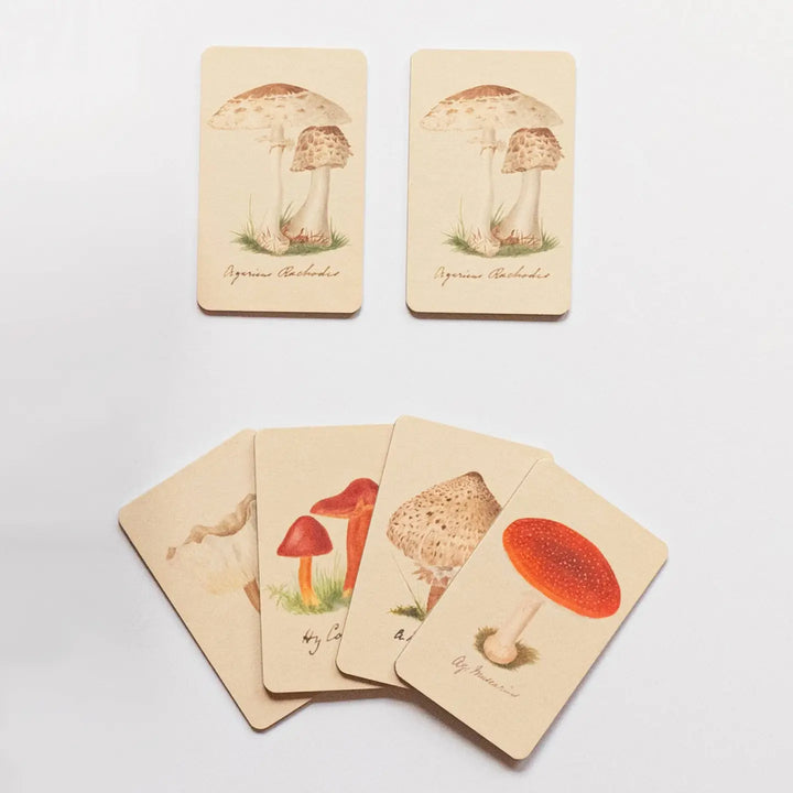 Matching Game - Fungi Mushroom