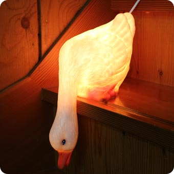 NEW Duck Looking Down Night Light Lamp