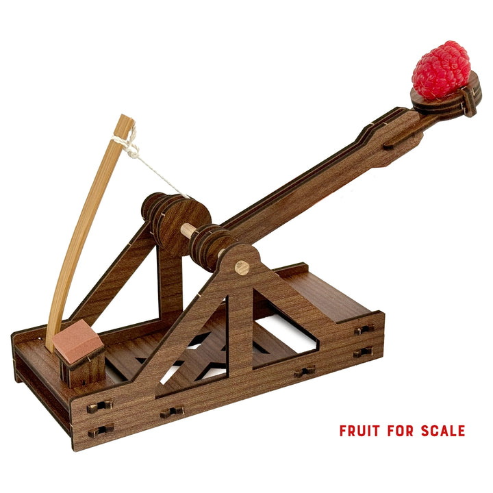 NEW Mini Catapult : Wooden Engineering Model Building Kit